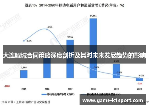 大连鲲城合同策略深度剖析及其对未来发展趋势的影响
