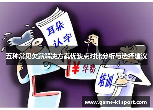 五种常见欠薪解决方案优缺点对比分析与选择建议